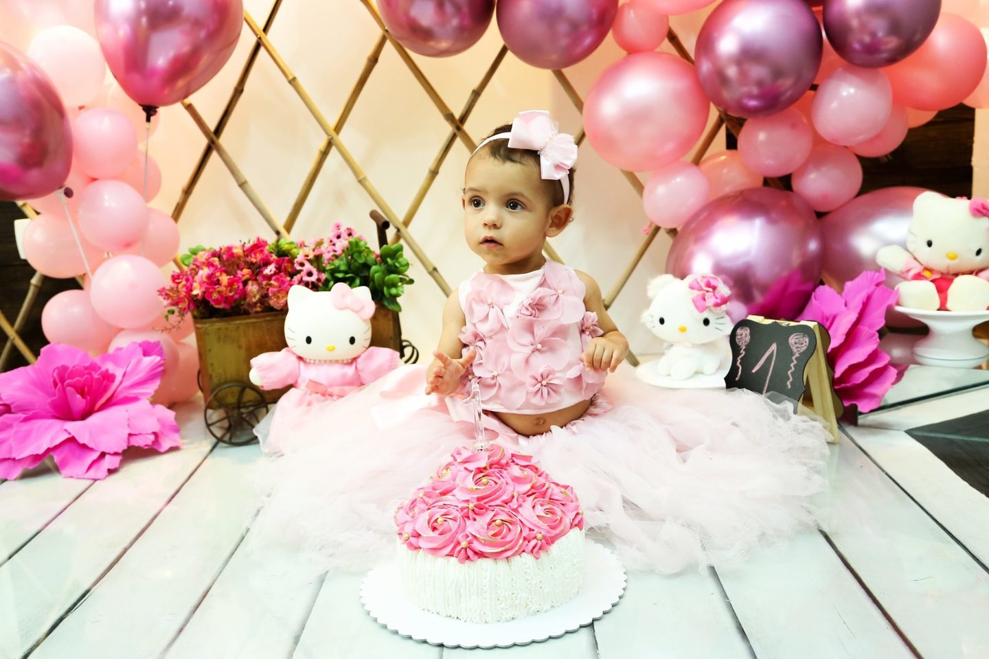 Smash the cake ou Fruit Smash the cake ou Fruit